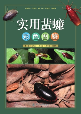 实用蜚蠊彩色图鉴