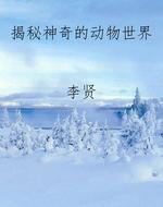 揭秘神奇的动物世界