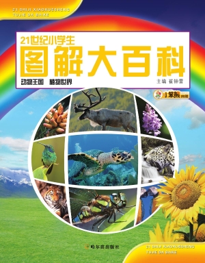 21世纪小学生图解大百