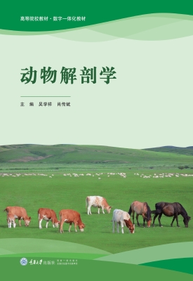 动物解剖学