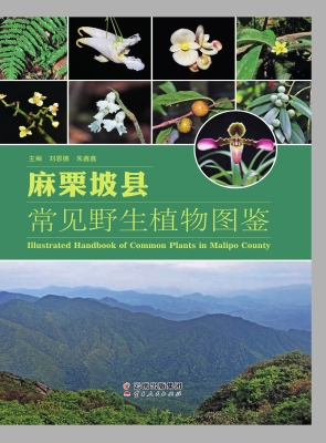 麻栗坡县常见野生植物