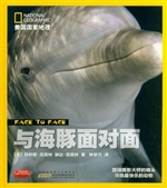 与海豚面对面