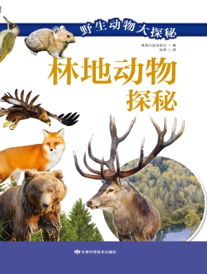 林地动物探秘