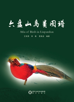 六盘山鸟类图谱
