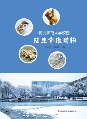 河北师范大学校园陆生