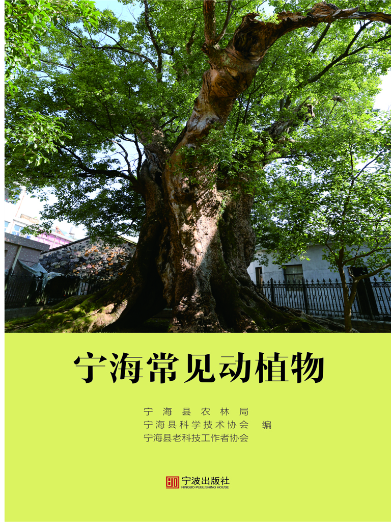 宁海常见动植物