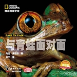 与青蛙面对面