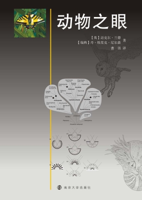 动物之眼