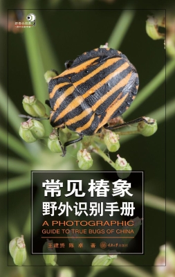常见椿象野外识别手册