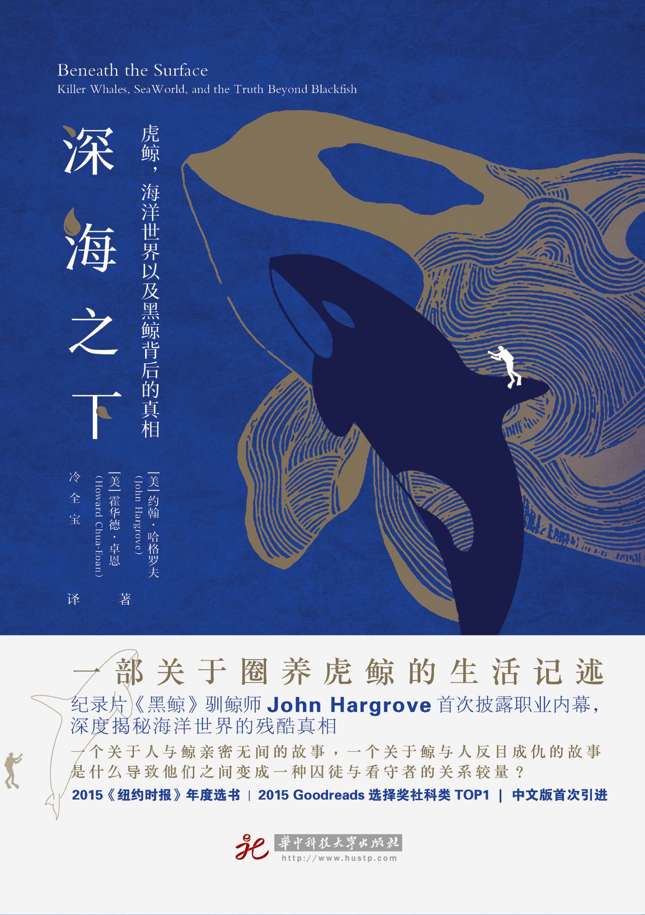 深海之下：虎鲸，海洋世界