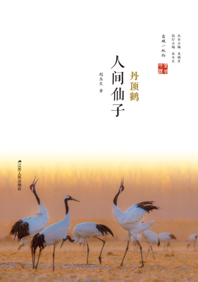 人间仙子：丹顶鹤