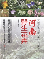 河南野生花卉