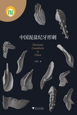 中国泥盆纪牙形刺