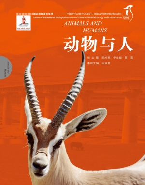 动物与人