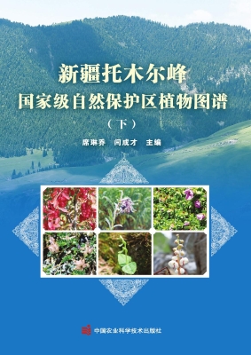 新疆托木尔峰国家级自