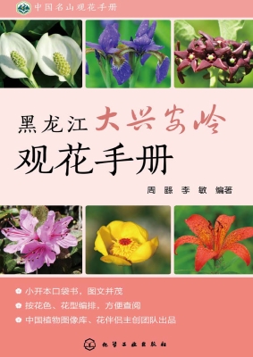 黑龙江大兴安岭观花手