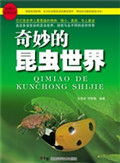 奇妙的昆虫世界