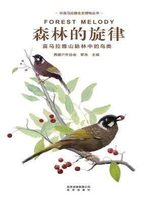 森林的旋律——喜马拉