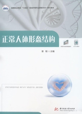 正常人体形态结构