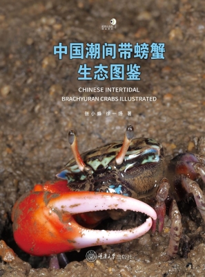 中国潮间带螃蟹生态图