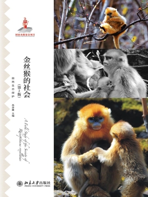 金丝猴的社会