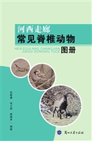 河西走廊常见脊椎动物