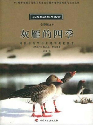 灰雁的四季
