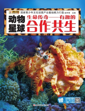 生命传奇——有趣的合