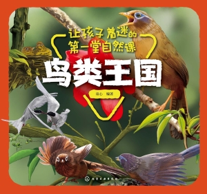 让孩子着迷的第一堂自