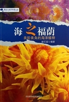 海之福荫：美轮美奂的海