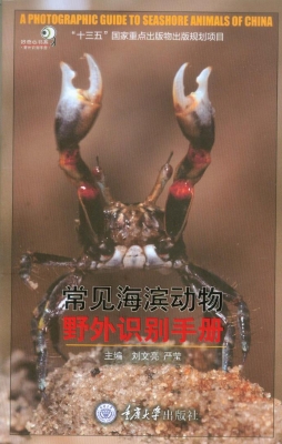 常见海滨动物野外识别