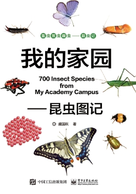 我的家园——昆虫图记