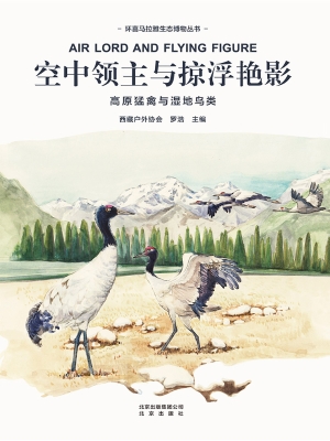 空中领主与掠浮艳影—