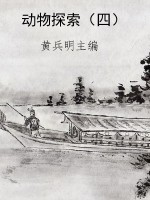 动物探索（四）