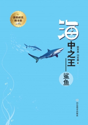 海中之王——鲨鱼