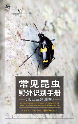 常见昆虫野外识别手册