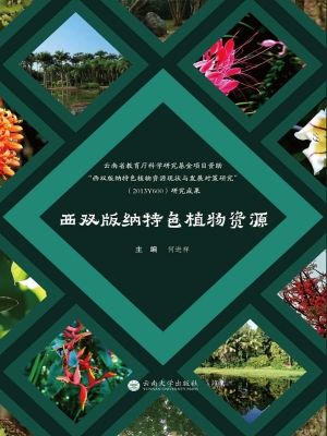 西双版纳特色植物资源