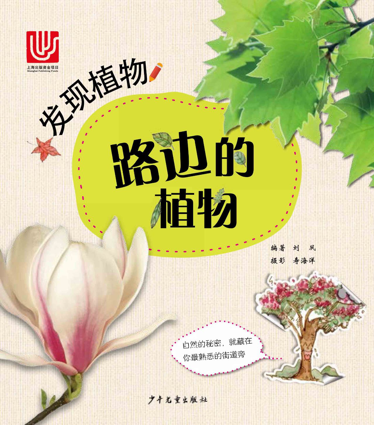 发现植物 路边的植物