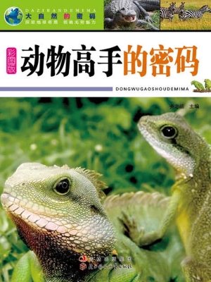 动物高手的密码