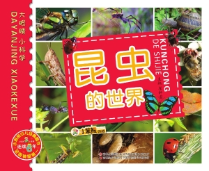 昆虫的世界