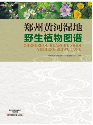 郑州黄河湿地野生植物