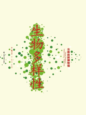 云南自然博物馆——生