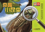 奇趣小昆虫