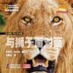 与狮子面对面