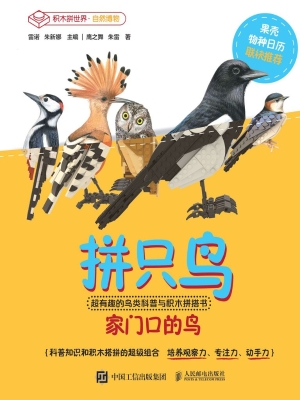 拼只鸟——超有趣的鸟