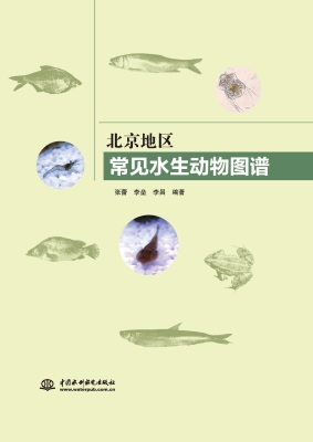北京地区常见水生动物
