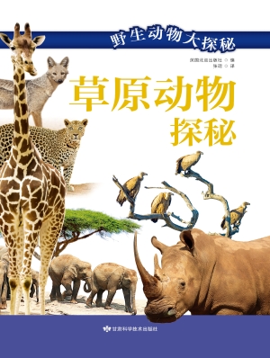 草原动物探秘