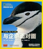 与企鹅面对面