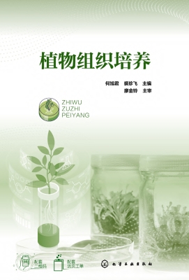 植物组织培养
