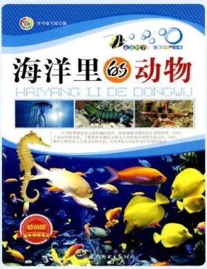 海洋里的动物